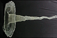 ?��L?��?��?��O?��t?��B?��b?��V?��?��?��[?��?��